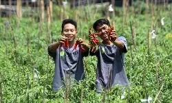 Outlook Pertanian 2026, dari swasembada ke pangan berkelanjutan