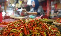 Bapanas: Harga cabai rawit Rp70.534/kg, bawang merah Rp46.516/kg