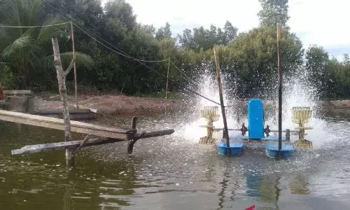 BMKG peringatkan pasang laut Kaltim berpotensi rendam tambak BMKG peringatkan pasang laut Kaltim berpotensi rendam tambak