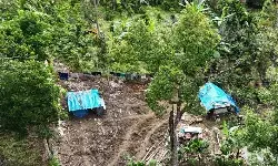 Kemenhut cermati kawasan konservasi daerah terdampak bencana Sumatera