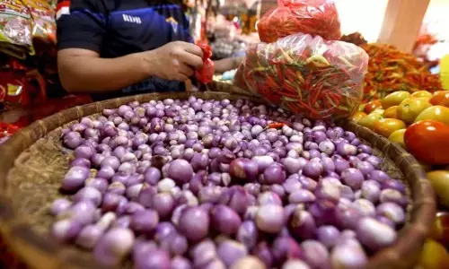 Bapanas: Harga cabai rawit Rp69.963/kg, bawang merah Rp46.240/kg Bapanas: Harga cabai rawit Rp69.963/kg, bawang merah Rp46.240/kg
