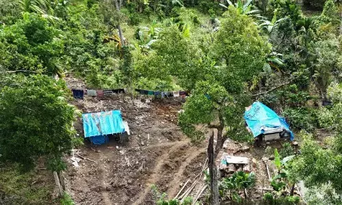 Kemenhut cermati kawasan konservasi daerah terdampak bencana Sumatera Kemenhut cermati kawasan konservasi daerah terdampak bencana Sumatera