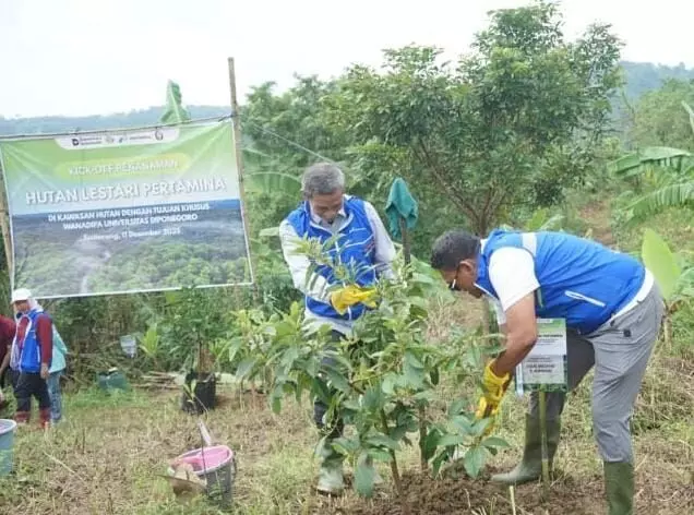 Peringati hari jadi, Pertamina Foundation tanam ratusan ribu pohon kerjasama tiga perguruan tinggi Peringati hari jadi, Pertamina Foundation tanam ratusan ribu pohon kerjasama tiga perguruan tinggi