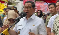 Pram minta Distamhut pangkas pohon tua untuk antisipasi angin kencang Pram minta Distamhut pangkas pohon tua untuk antisipasi angin kencang