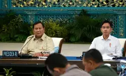 Swasembada energi di Papua, Prabowo dorong gunakan tenaga surya dan air