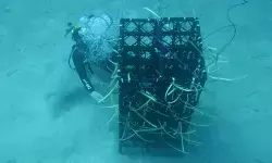 Inovasi cegah bom dan bius ikan diapresiasi Kementerian PAN-RB