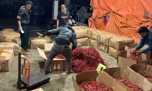 ACCI Banjarnegara: Harga cabai di tingkat petani mulai turun