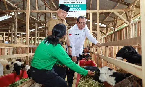 BAZNAS RI resmikan Kampung Zakat dan balai ternak di Kuningan BAZNAS RI resmikan Kampung Zakat dan balai ternak di Kuningan