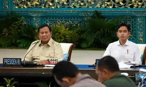 Swasembada energi di Papua, Prabowo dorong gunakan tenaga surya dan air