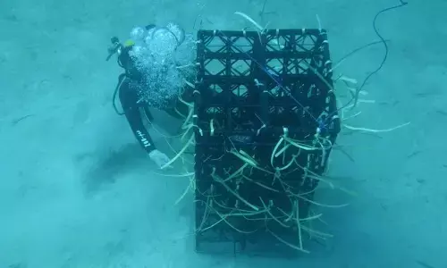 Inovasi cegah bom dan bius ikan diapresiasi Kementerian PAN-RB Inovasi cegah bom dan bius ikan diapresiasi Kementerian PAN-RB