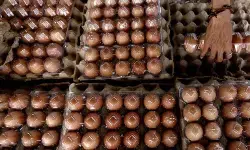 PIHPS: Harga cabai rawit Rp79.400/kg, telur ayam Rp32.850/kg