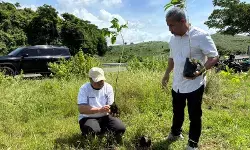 Pemkab gandeng dunia usaha tanam ribuan pohon di JLS Blitar Pemkab gandeng dunia usaha tanam ribuan pohon di JLS Blitar