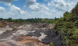 Otorita perkuat pengendalian aktivitas ilegal di IKN