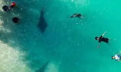 Media sosial menjadi referensi utama mencari informasi liburan