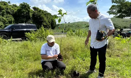 Pemkab gandeng dunia usaha tanam ribuan pohon di JLS Blitar
