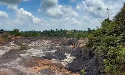 Otorita perkuat pengendalian aktivitas ilegal di IKN