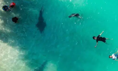 Media sosial menjadi referensi utama mencari informasi liburan