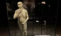 Fosil Java Man yang baru dipulangkan dari Belanda dipajang di museum Fosil Java Man yang baru dipulangkan dari Belanda dipajang di museum