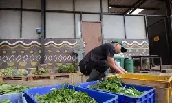 Kemenhut tanggung sementara pakan satwa Bandung Zoo