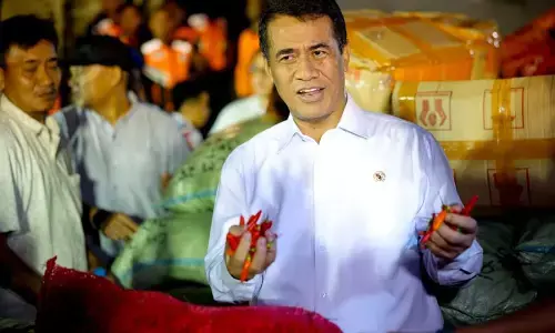 Mentan serap 40 ton cabai petani Aceh, dikirim ke Jakarta Mentan serap 40 ton cabai petani Aceh, dikirim ke Jakarta