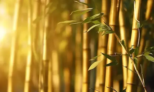 19 Desember 1993: Tragedi Haur Koneng di Jawa Barat