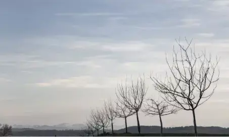 6 tips menjaga stamina tubuh di musim pancaroba