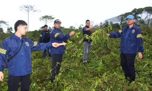 Polres Garut tangkap tiga perusak kebun teh di Cikajang