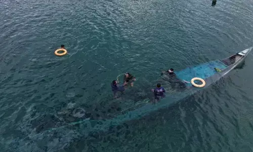 Kasus perburuan ilegal TN Komodo, Kemenhut tetapkan 3 tersangka