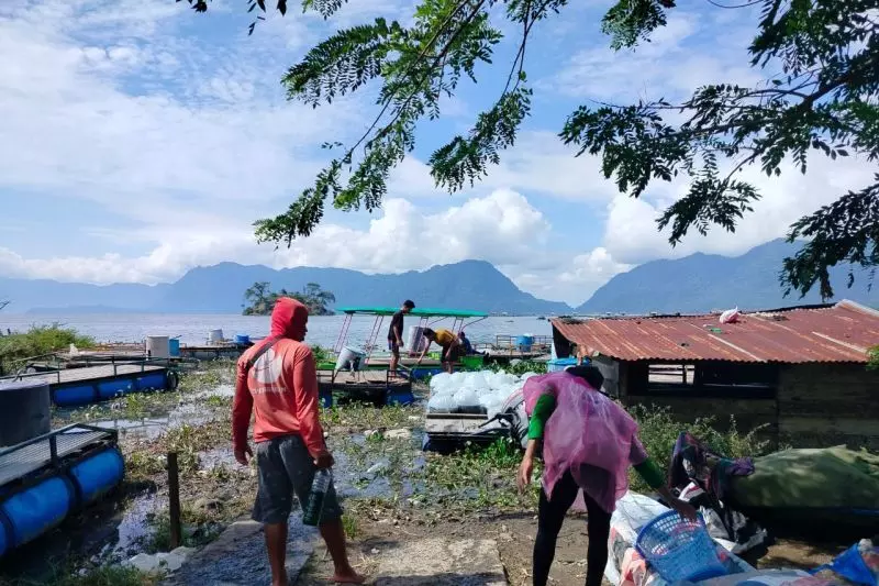Sekitar 1.428,73 ton ikan mati dampak upwelling air Danau Maninjau Sekitar 1.428,73 ton ikan mati dampak upwelling air Danau Maninjau