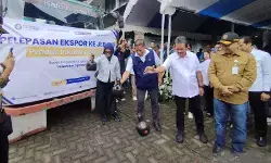 Undip berhasil ekspor ikan teri nasi asal Jepara ke Jepang Undip berhasil ekspor ikan teri nasi asal Jepara ke Jepang