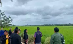 Pupuk organik karya anak bangsa diminati petani selatan Thailand