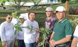Jaga kelestarian alam dari ancaman bencana, DPRD tanam bibit pohon di lereng Merbabu