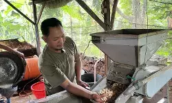 Jadi pemasok tempe MBG, omzet warga Madiun tembus jutaan