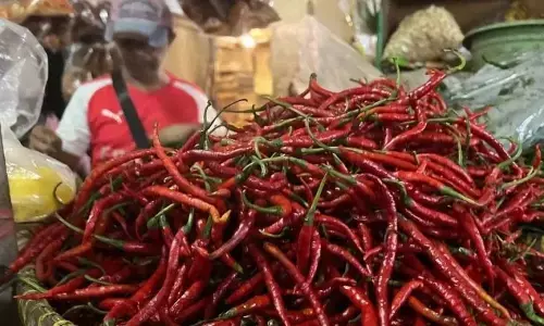 Bapanas: Harga cabai rawit Rp63.290/kg, bawang merah Rp39.821/kg