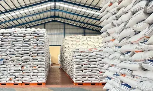 Kolaborasi perlu dilakukan untuk jaga kebutuhan pangan di Jakarta