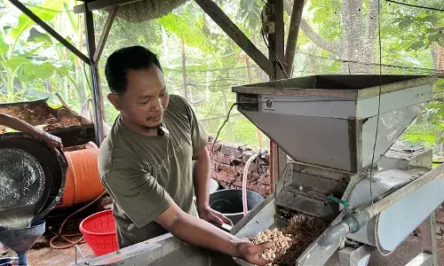 Jadi pemasok tempe MBG, omzet warga Madiun tembus jutaan Jadi pemasok tempe MBG, omzet warga Madiun tembus jutaan