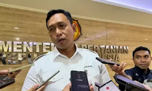 Proyek 100 gudang Bulog masuk penyusunan Perpres