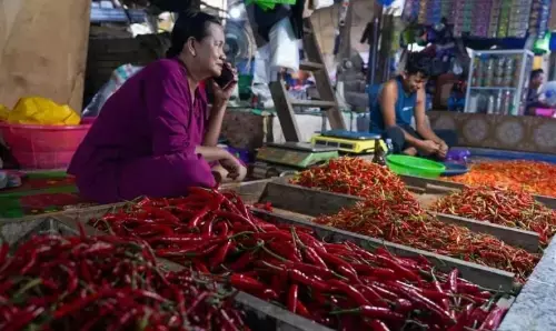 PIHPS: Harga cabai rawit merah Rp73.850/kg, telur ayam Rp33.000/kg PIHPS: Harga cabai rawit merah Rp73.850/kg, telur ayam Rp33.000/kg