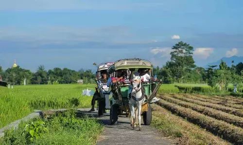 9 Desa Wisata Menarik untuk Liburan Akhir Tahun