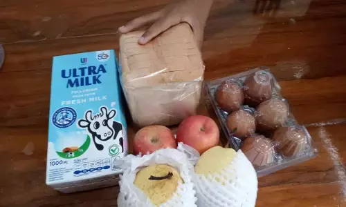 Anggota DPR nilai pemberian MBG saat libur bukan masalah