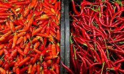 PIHPS: Harga cabai rawit merah Rp52.850/kg, telur ayam Rp33.800/kg