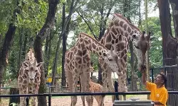 Ratusan petugas amankan Taman Margasatwa Ragunan pada Nataru