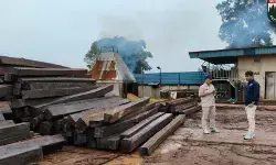 Kemenhut teruskan proses hukum jaringan pengangkut kayu ilegal Batam