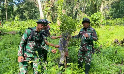 Kawasan hutan Kadindi Dompu dihijaukan