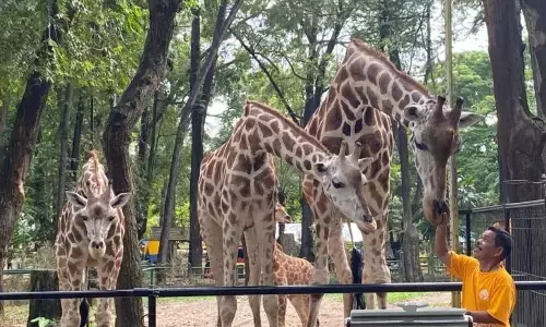 Ratusan petugas amankan Taman Margasatwa Ragunan pada Nataru