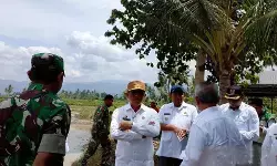 Dinas TPH Sulteng: Luas cetak sawah baru capai 7 ribu hektare