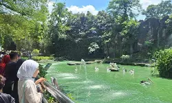 Ragunan tambah jam operasional selama Nataru