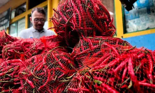 PIHPS catat harga cabai rawit merah Rp73.050/kg di Hari Natal