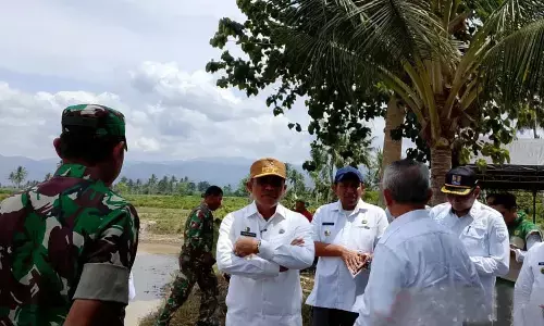 Dinas TPH Sulteng: Luas cetak sawah baru capai 7 ribu hektare