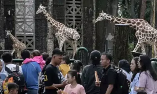 Margasatwa Ragunan antisipasi pohon tumbang saat Nataru